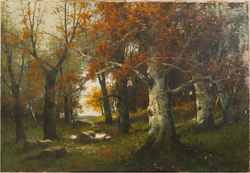 Imagen de large forrest landscape