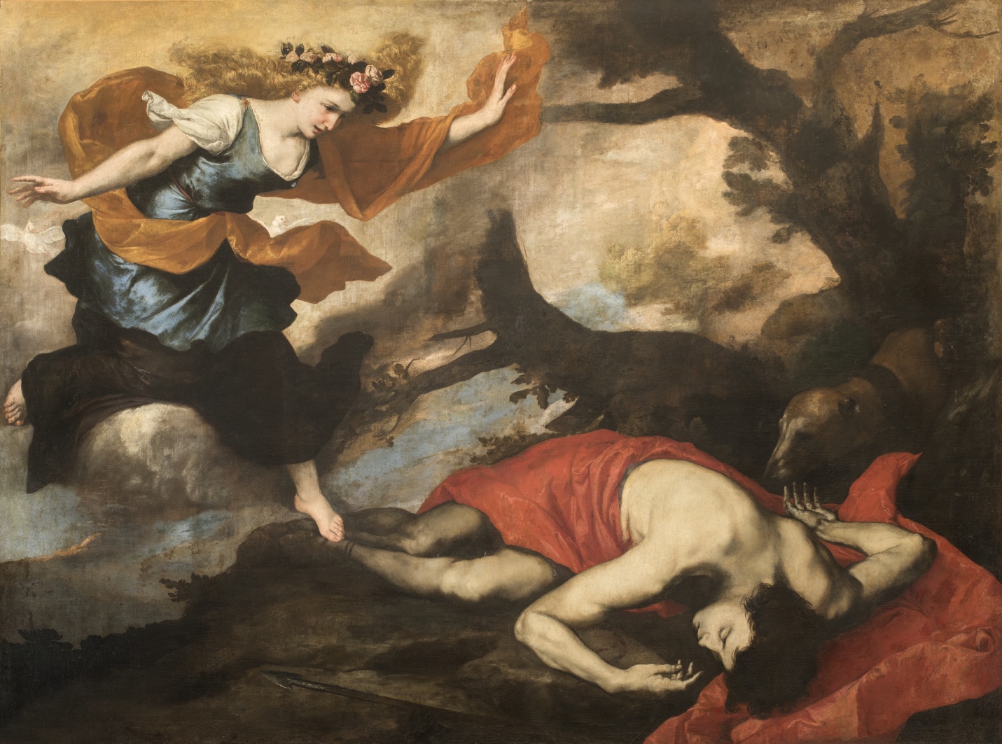 Imagen de Muerte de Adonis